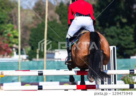 Show Jumping Horse Rider Jump Flight Rear Action Show Jumping Horse Rider Jump Flight Rear Action 129475949