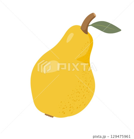 Pear flat vector illustration. Citrus isolated on white background 129475961