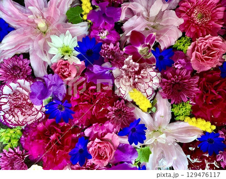 3月の花手水(百合・ガーベラ・カーネーション・サイネリア・菊)〈菅生神社/愛知県岡崎市〉 129476117