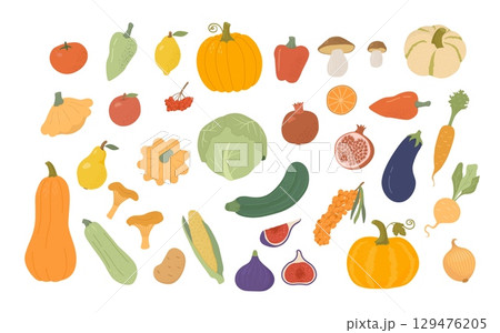 Set of cartoon organic farm vegetables and fruits. Autumn harvest of pumpkin, zucchini, lemon, pear, garnet, figs, berry, pepper. Vector illustration 129476205