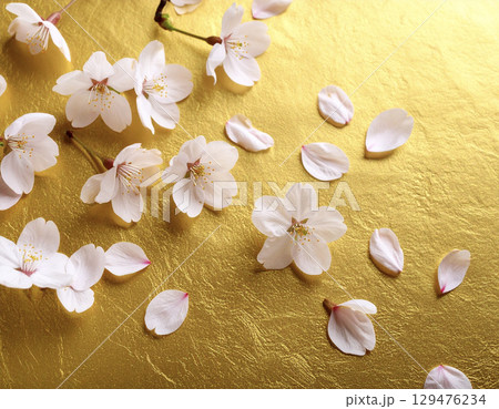 金色の和紙背景に舞う桜の花びらの和風デザイン 129476234