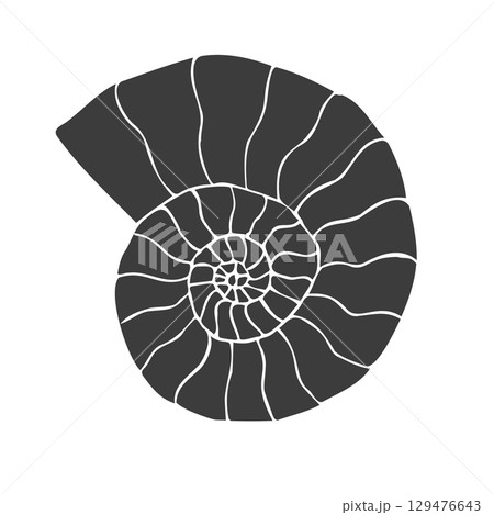 Vector hand drawn sketch doodle ammonite 129476643