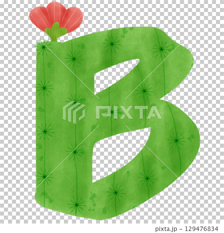 green letters of the alphabet cactus 129476834
