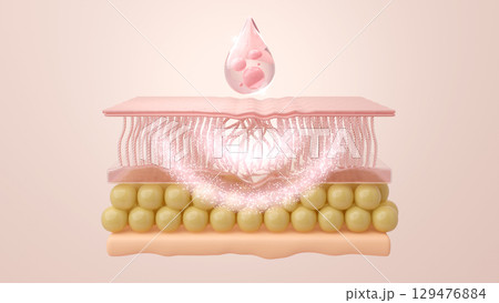 エクソソームや幹細胞を肌の深層へ届けるカプセル技術 肌再生イメージCG 129476884