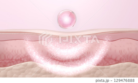 肌再生を促しハリと弾力を与えるエイジングケア美容液 劣化したエラスチンを修復 129476888