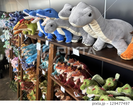 恐竜のぬいぐるみ 恐竜のぬいぐるみ 129477497