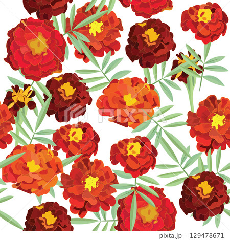 Marigold flowers. Seamless pattern. Vector illustration. 129478671