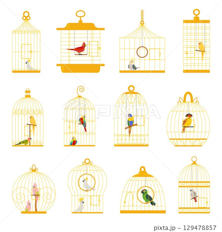 Birds in cages. Cartoon bird in golden cage, decorative different animals. Parrots cockatoo cardinal, exotic flying characters classy vector set 129478857