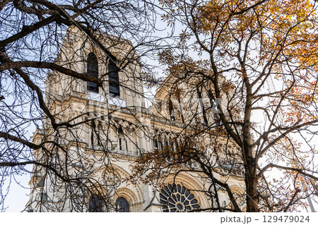 Notre Dame de Paris Cathedral, Catholic Church in Paris, France Notre Dame de Paris Cathedral, Catholic Church in Paris, France 129479024