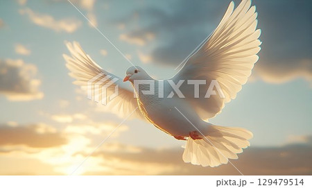 A Serene White Dove Soaring Gracefully Against the Sky 129479514
