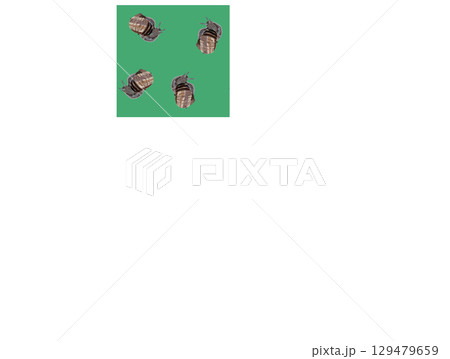 Snail close-up in realistic style. Seamless pattern. Vector illustration. Snail close-up in realistic style. Seamless pattern. Vector illustration. 129479659