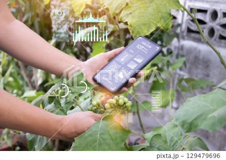 The concept of using AI and smart agriculture to increase productivity and quality of agricultural technology 129479696