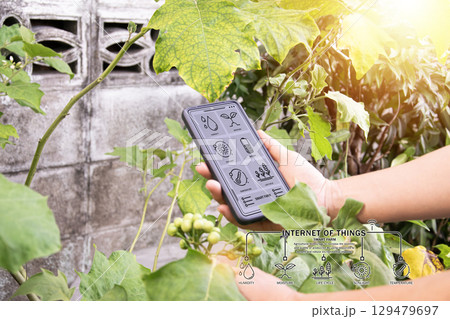 The concept of using AI and smart agriculture to increase productivity and quality of agricultural technology 129479697