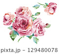 薔薇ピンク 129480078