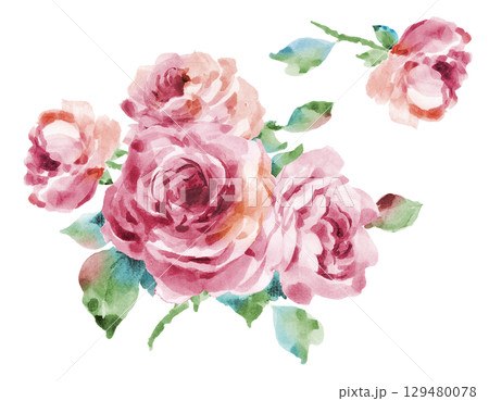 薔薇ピンク 129480078