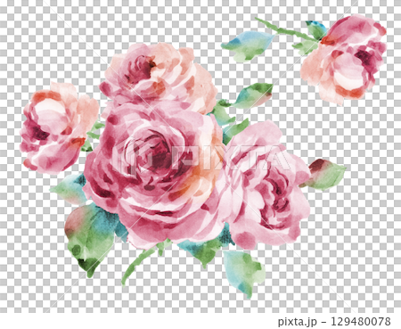 薔薇ピンク 129480078