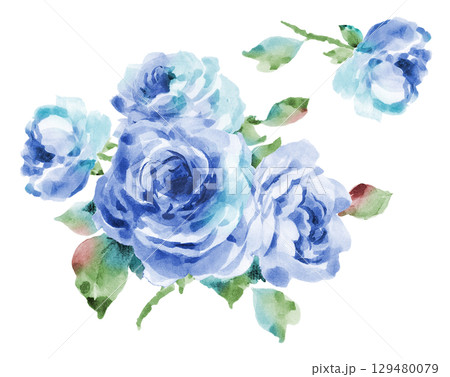 薔薇ブルー 129480079
