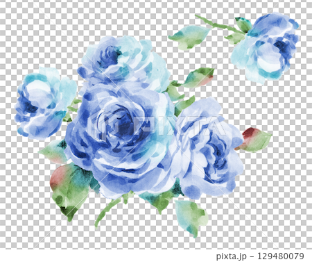 薔薇ブルー 129480079