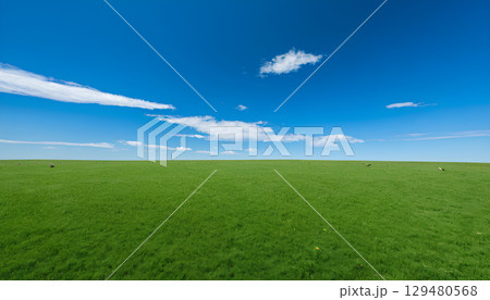 beautiful landscape with a green field 129480568