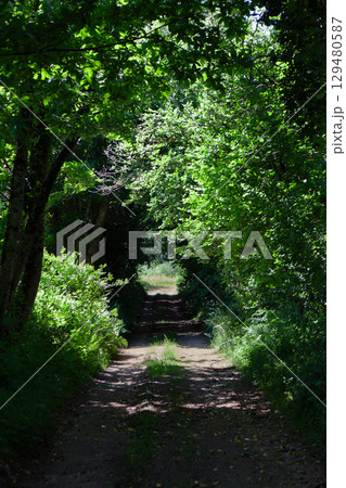 Nature in summer in the French region of Ardeche Nature in summer in the French region of Ardeche 129480587