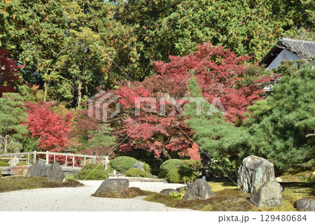 金戒光明寺　方丈庭園　紫雲の庭(京都市左京区) 129480684