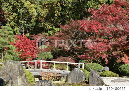 金戒光明寺　方丈庭園　紫雲の庭(京都市左京区) 129480685
