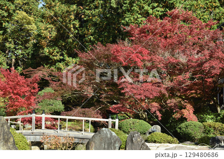 金戒光明寺 方丈庭園 紫雲の庭(京都市左京区) 金戒光明寺 方丈庭園 紫雲の庭(京都市左京区) 129480686