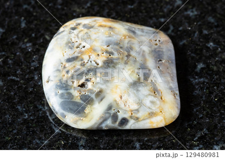 sample of tumbled oncolite mineral on black 129480981