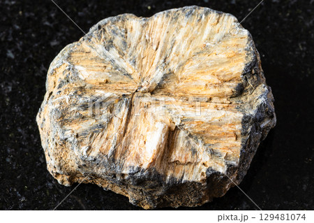 sample of raw chiastolite mineral on black granite 129481074