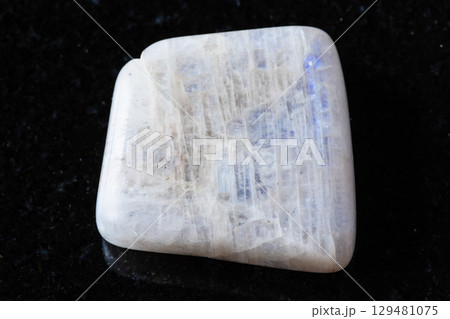 sample of polished belomorite mineral on black sample of polished belomorite mineral on black 129481075