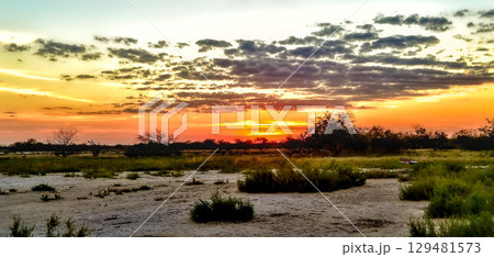 view of the Paraguayan Chaco 129481573