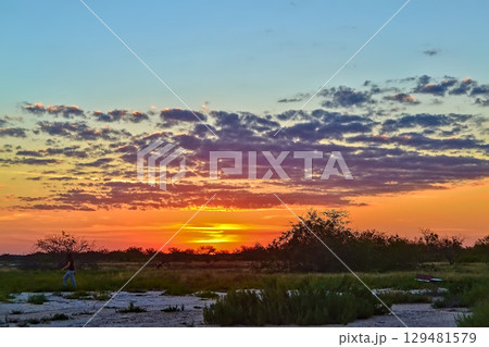 plain in the Paraguayan Chaco 129481579