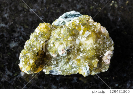 druse of topazolite andradite crystals on black druse of topazolite andradite crystals on black 129481800