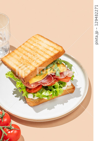 Club sandwich of toast bread with bacon, cheese, tomatoes, lettuce, arugula and sauce in a plate Club sandwich of toast bread with bacon, cheese, tomatoes, lettuce, arugula and sauce in a plate 129482271