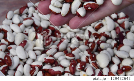 Handful of raw spotted beans closeup 129482642