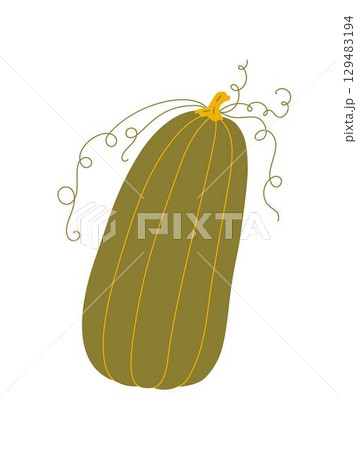 Pumpkin hand drawn doodle vector illustration in warm colors, vegetable for seasonal autumn, fall holidays celebration design, healthy vegetarian diet ingredient, Thanksgiving, Halloween clipart 129483194