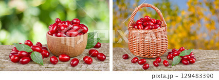 dogwood berry with leaf in wooden bowl and wicker basket on wooden table with a blurry garden background dogwood berry with leaf in wooden bowl and wicker basket on wooden table with a blurry garden background 129483390