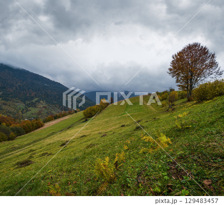 Cloudy and foggy day autumn mountains scene. Peaceful picturesque traveling, seasonal, nature and countryside beauty concept scene. Carpathian Mountains, Ukraine. Cloudy and foggy day autumn mountains scene. Peaceful picturesque traveling, seasonal, nature and countryside beauty concept scene. Carpathian Mountains, Ukraine. 129483457