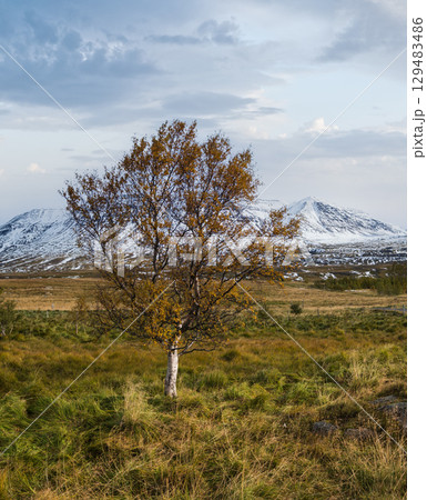 Beautiful mountain view during auto trip in North Iceland. Spectacular Icelandic landscape with  scenic nature: mountains, fields, clouds, glaciers, rocks, groves. 129483486