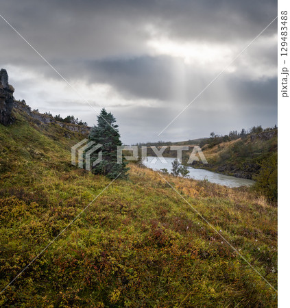 Hrutey island public park near Blonduos town, North-West of Iceland. View during auto trip by Ring Road. Spectacular Icelandic landscape with scenic autumn nature and Blanda river with cataracts. Hrutey island public park near Blonduos town, North-West of Iceland. View during auto trip by Ring Road. Spectacular Icelandic landscape with scenic autumn nature and Blanda river with cataracts. 129483488