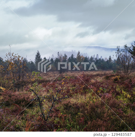Cloudy and foggy early morning autumn meadow scene. Peaceful picturesque traveling, seasonal, nature and countryside beauty concept scene. Carpathian Mountains, Ukraine. 129483587