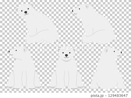一組坐著的北極熊幼崽的插圖 129483647