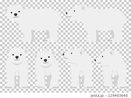 Set of illustrations of a walking polar bear cub Set of illustrations of a walking polar bear cub 129483648
