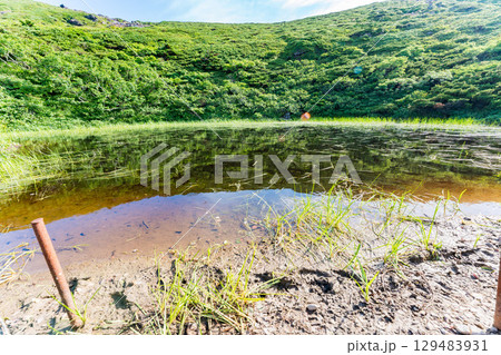 夏の快晴の青森の八甲田山の登山道 129483931