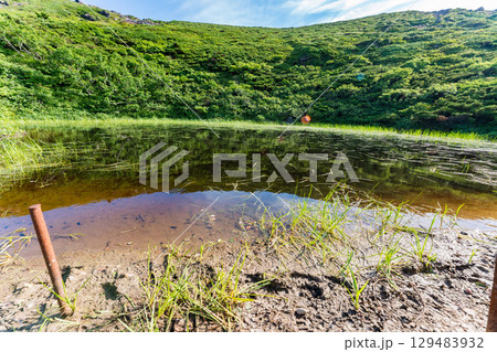 夏の快晴の青森の八甲田山の登山道 129483932