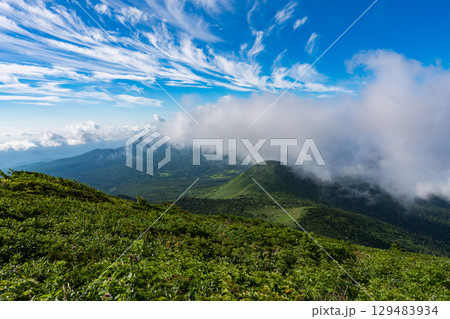 夏の快晴の青森の八甲田山の登山道 129483934