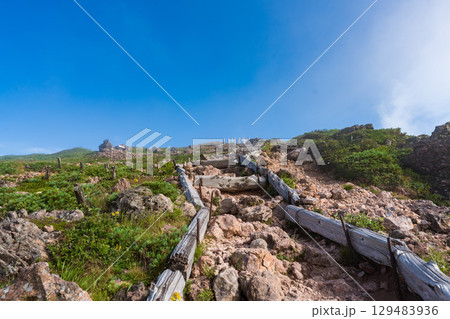 夏の快晴の青森の八甲田山の登山道 129483936