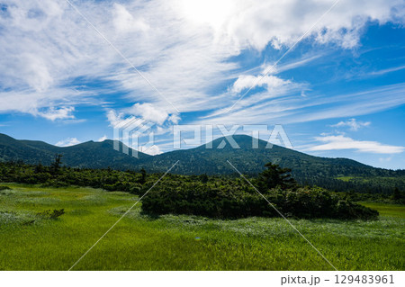 夏の快晴の青森の八甲田山の登山道 129483961