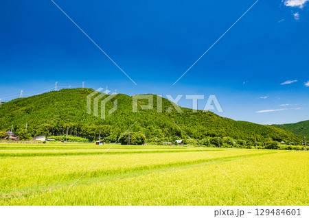 マキノののどかな田園風景　滋賀県高島市 129484601