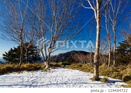 冬の高デッキ山頂から見る毛無山稜線 冬の高デッキ山頂から見る毛無山稜線 129484722